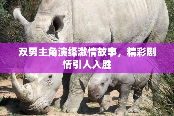 双男主角演绎激情故事，精彩剧情引人入胜