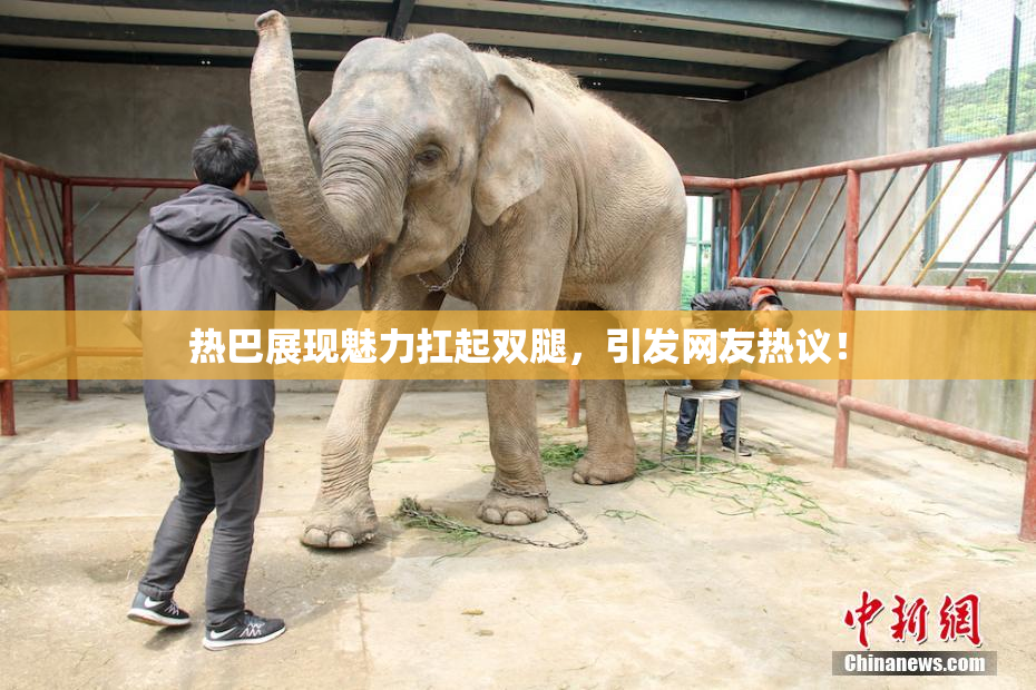 热巴展现魅力扛起双腿，引发网友热议！