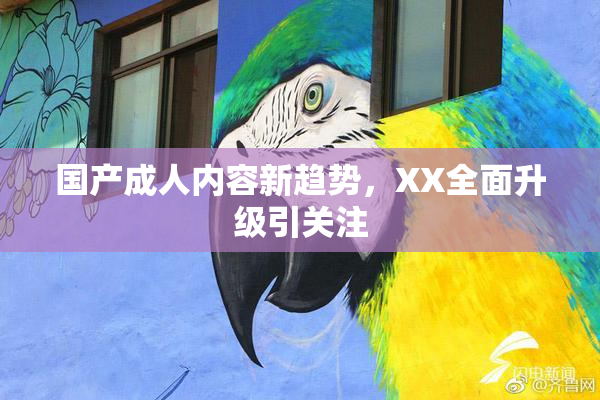 国产成人内容新趋势，XX全面升级引关注