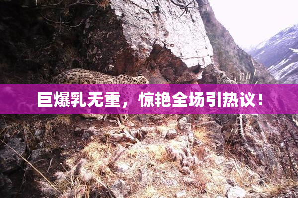 巨爆乳无重，惊艳全场引热议！