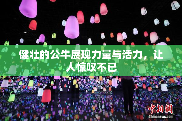 健壮的公牛展现力量与活力，让人惊叹不已