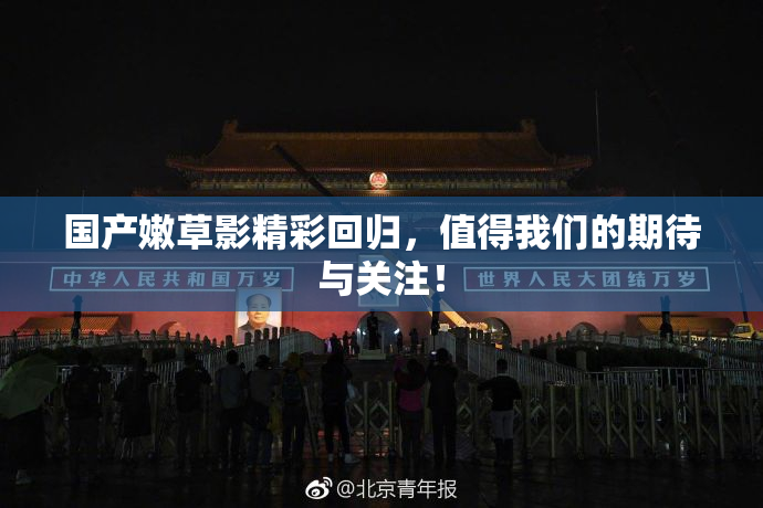 国产嫩草影精彩回归，值得我们的期待与关注！