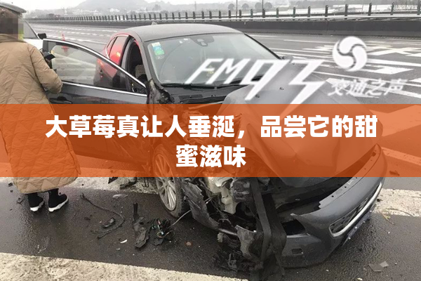 大草莓真让人垂涎，品尝它的甜蜜滋味