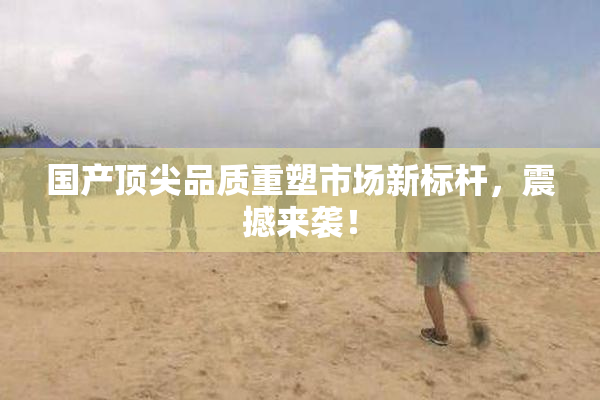 国产顶尖品质重塑市场新标杆，震撼来袭！