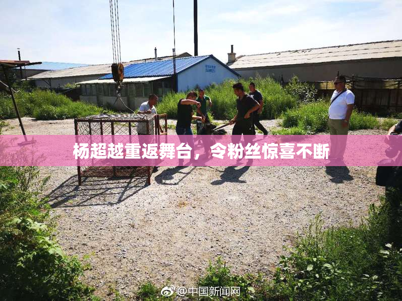 杨超越重返舞台，令粉丝惊喜不断