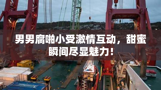 男男腐啪小受激情互动，甜蜜瞬间尽显魅力！