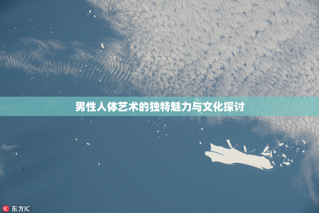 男性人体艺术的独特魅力与文化探讨