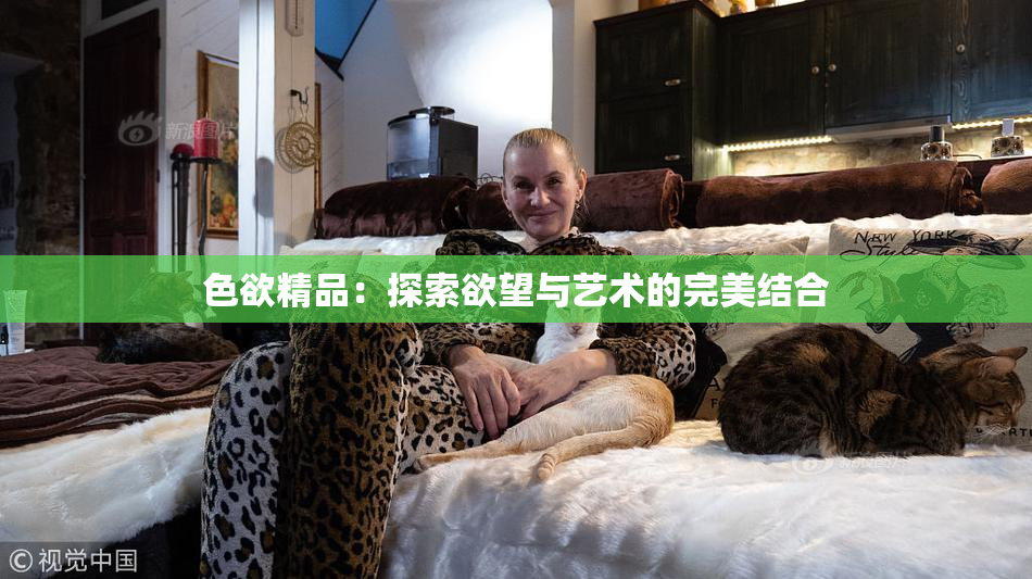 色欲精品：探索欲望与艺术的完美结合