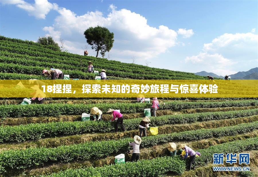 18捏捏，探索未知的奇妙旅程与惊喜体验