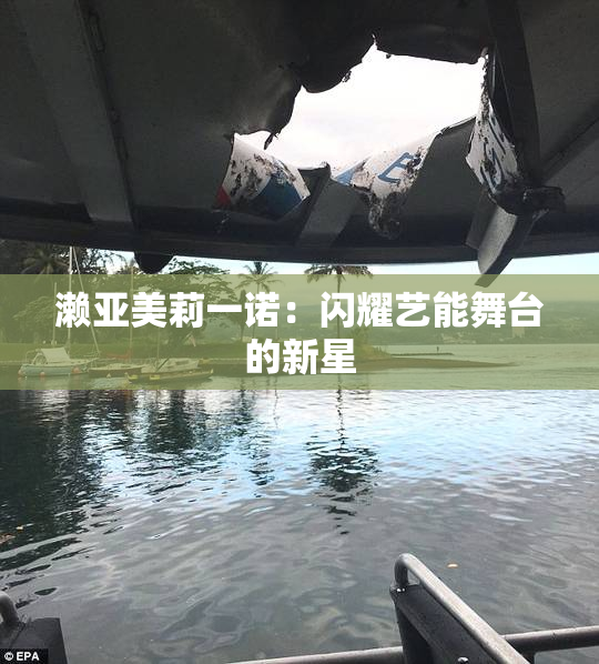 濑亚美莉一诺：闪耀艺能舞台的新星