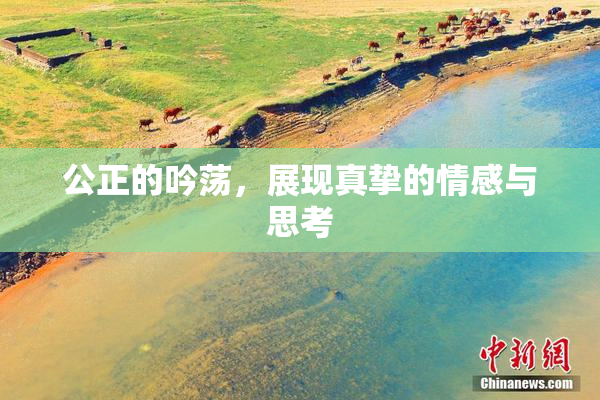 公正的吟荡，展现真挚的情感与思考