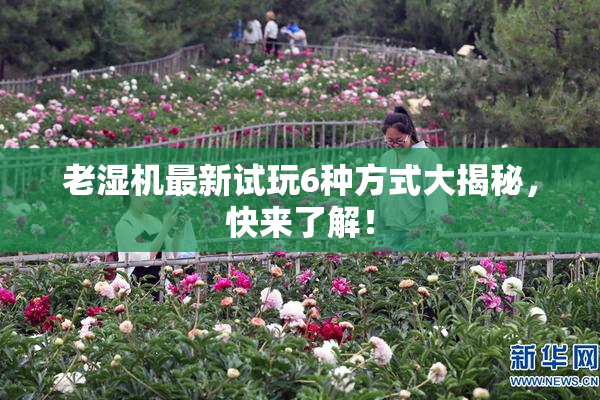 老湿机最新试玩6种方式大揭秘，快来了解！