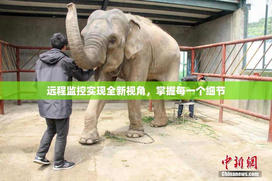 远程监控实现全新视角，掌握每一个细节