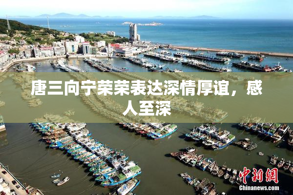 唐三向宁荣荣表达深情厚谊，感人至深