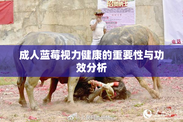 成人蓝莓视力健康的重要性与功效分析
