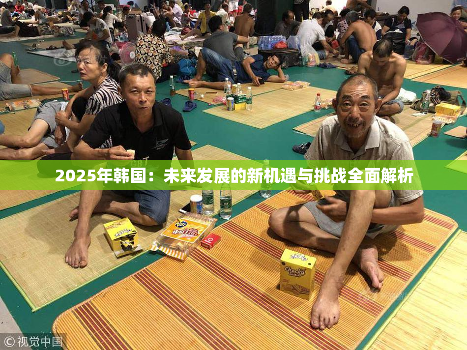 2025年韩国：未来发展的新机遇与挑战全面解析
