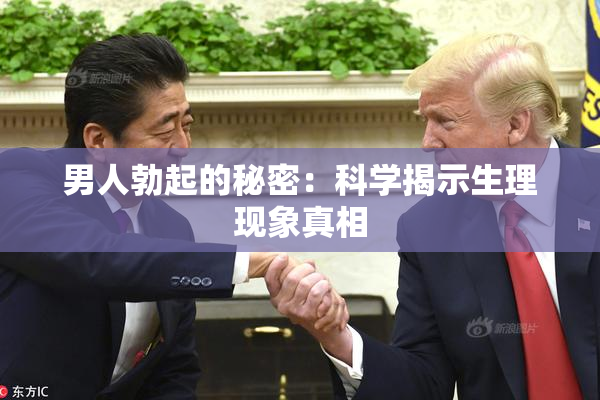 男人勃起的秘密：科学揭示生理现象真相