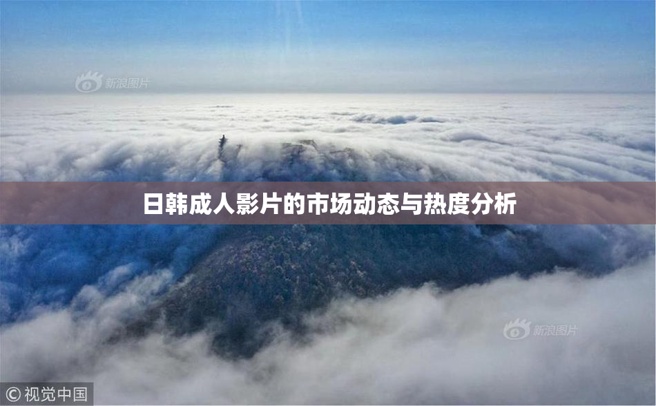日韩成人影片的市场动态与热度分析