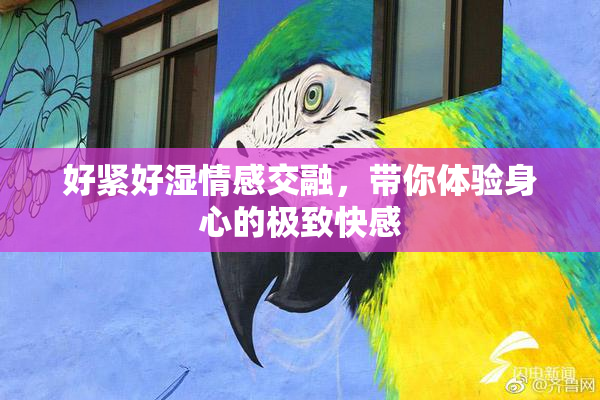 好紧好湿情感交融，带你体验身心的极致快感