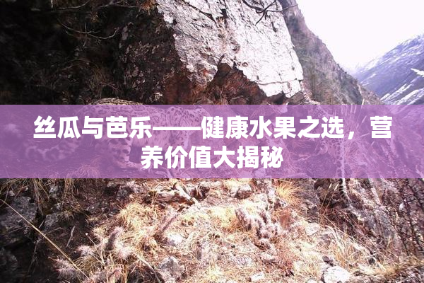 丝瓜与芭乐——健康水果之选，营养价值大揭秘