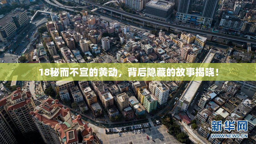 18秘而不宣的黄动，背后隐藏的故事揭晓！