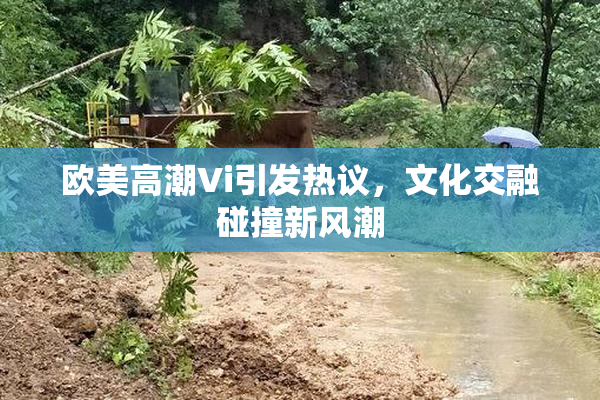 欧美高潮Vi引发热议，文化交融碰撞新风潮