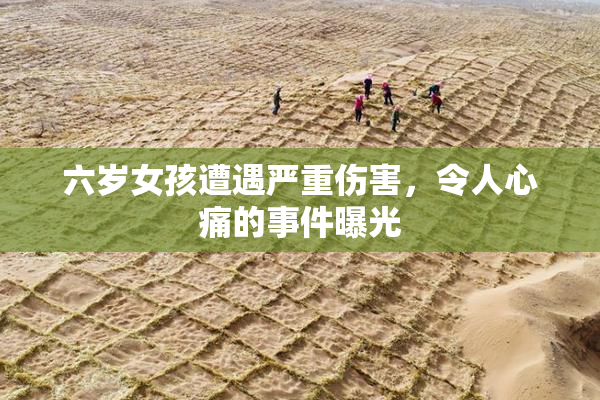 六岁女孩遭遇严重伤害，令人心痛的事件曝光