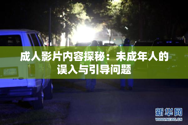 成人影片内容探秘：未成年人的误入与引导问题