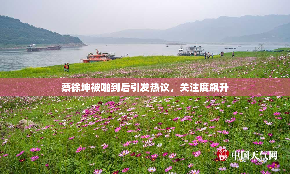 蔡徐坤被啪到后引发热议，关注度飙升