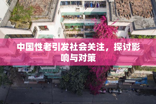 中国性老引发社会关注，探讨影响与对策