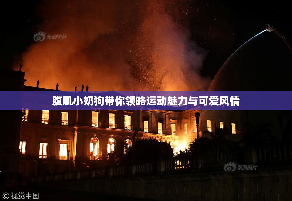 腹肌小奶狗带你领略运动魅力与可爱风情