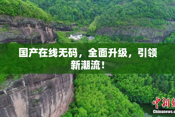 国产在线无码，全面升级，引领新潮流！