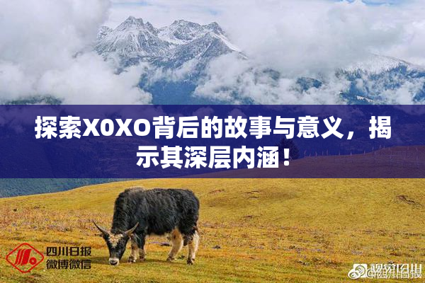 探索X0XO背后的故事与意义，揭示其深层内涵！