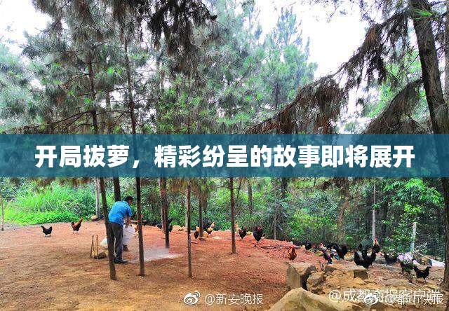开局拔萝，精彩纷呈的故事即将展开