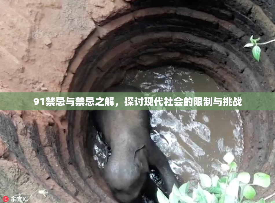 91禁忌与禁忌之解，探讨现代社会的限制与挑战