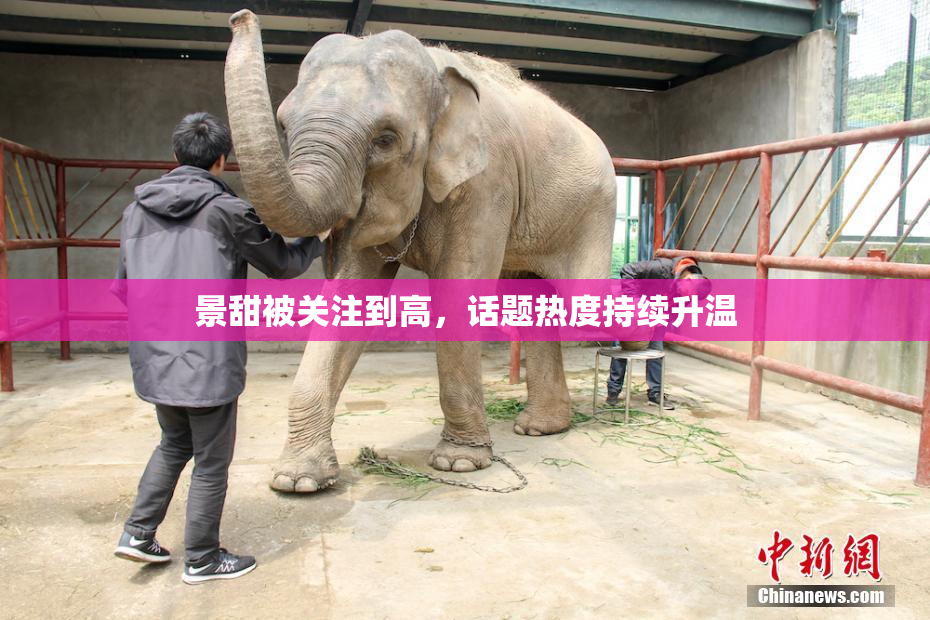 景甜被关注到高，话题热度持续升温