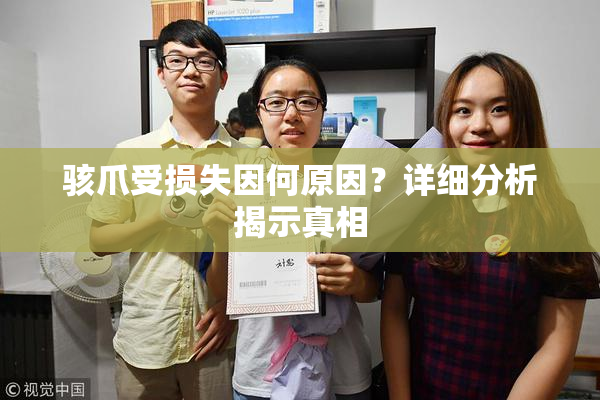骇爪受损失因何原因？详细分析揭示真相