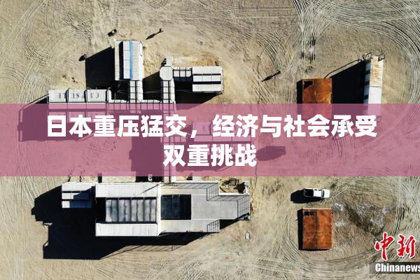 日本重压猛交，经济与社会承受双重挑战