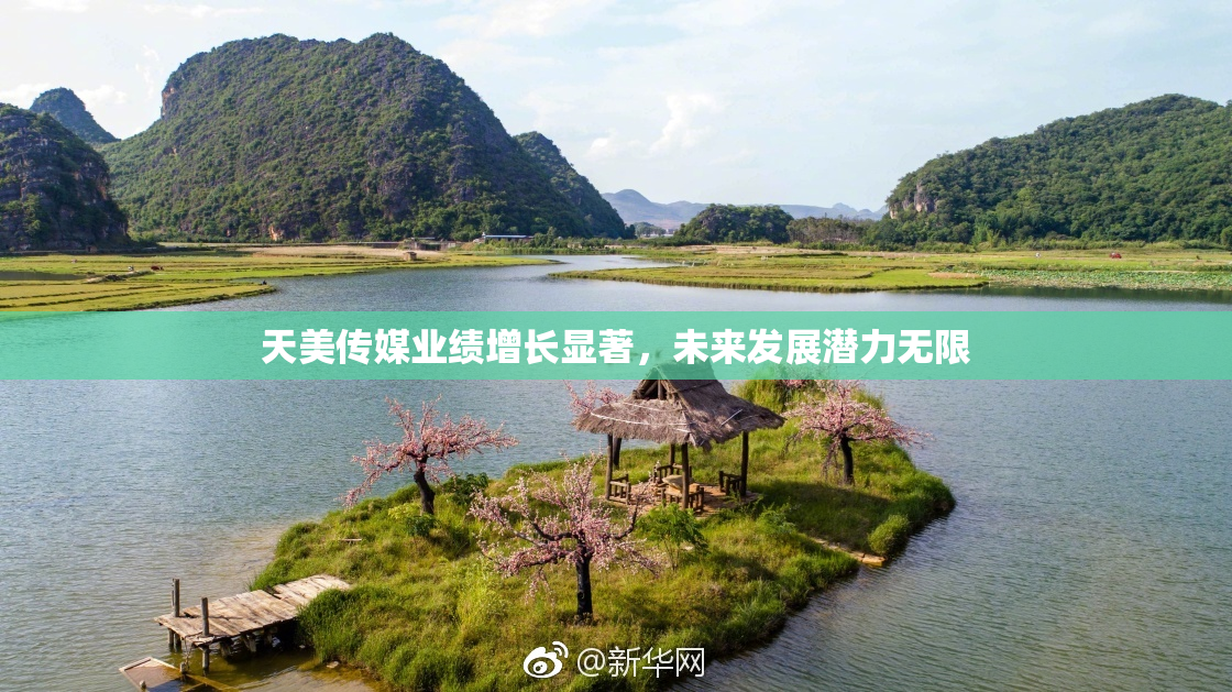 天美传媒业绩增长显著，未来发展潜力无限