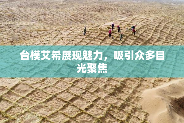 台模艾希展现魅力，吸引众多目光聚焦
