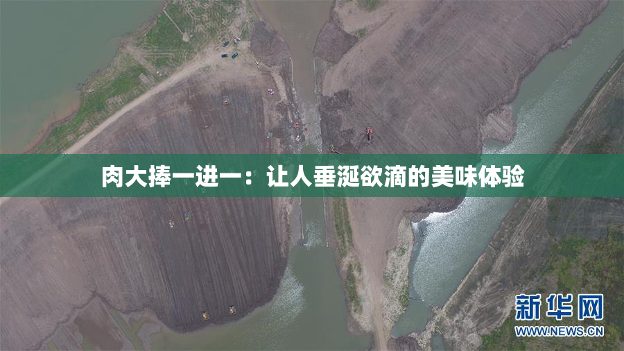 肉大捧一进一：让人垂涎欲滴的美味体验