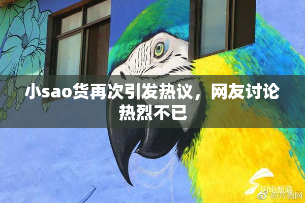 小sao货再次引发热议，网友讨论热烈不已
