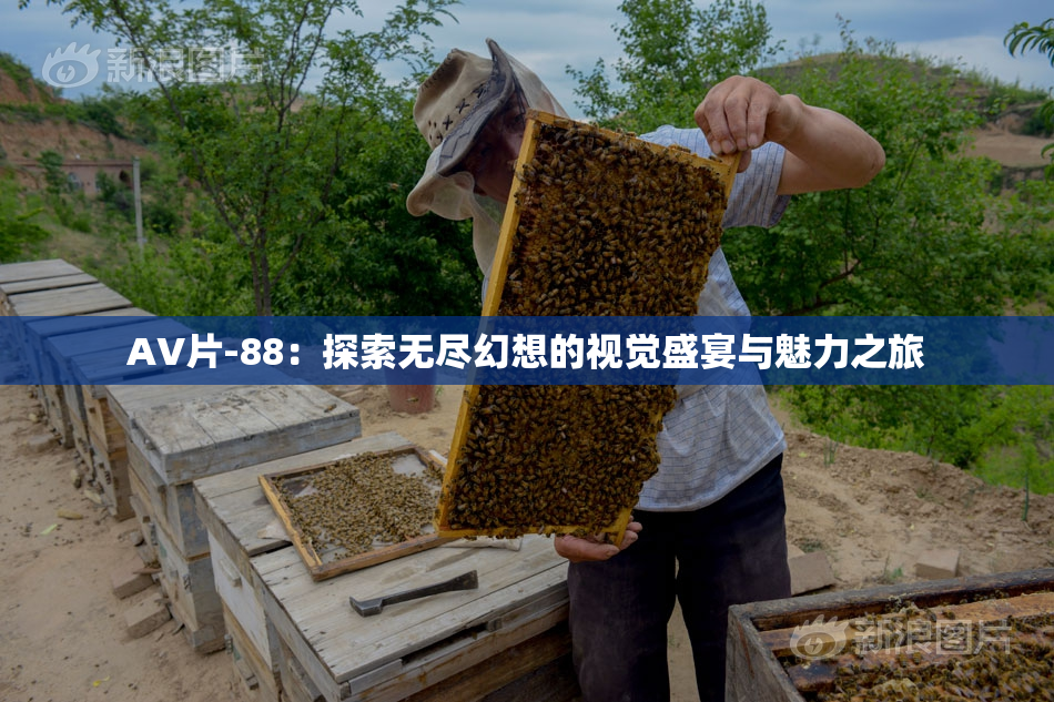 AV片-88：探索无尽幻想的视觉盛宴与魅力之旅