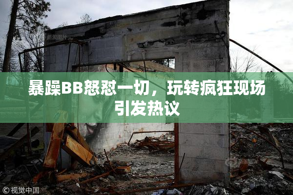 暴躁BB怒怼一切，玩转疯狂现场引发热议