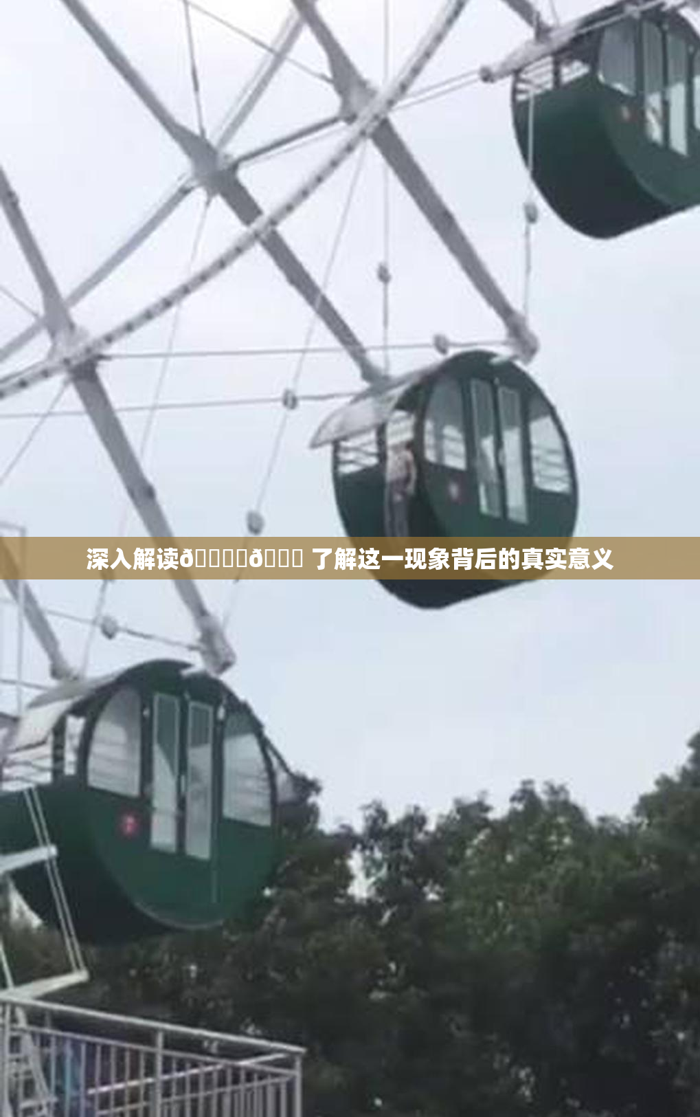 深入解读🔞‌🍌 了解这一现象背后的真实意义