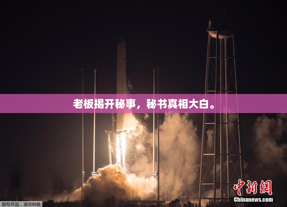 老板揭开秘事，秘书真相大白。