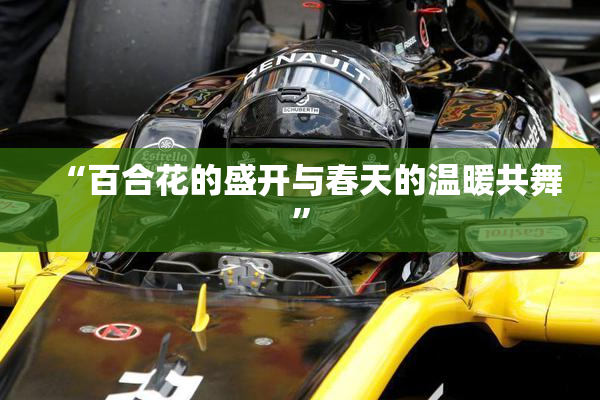 “百合花的盛开与春天的温暖共舞”