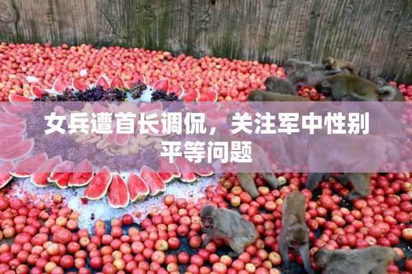 女兵遭首长调侃，关注军中性别平等问题