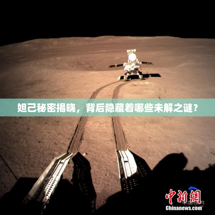 妲己秘密揭晓，背后隐藏着哪些未解之谜？
