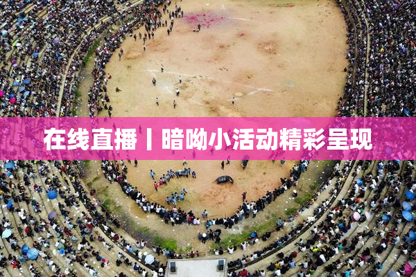 在线直播丨暗呦小活动精彩呈现